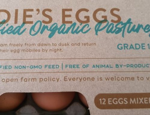 Eddies Egg Packaging